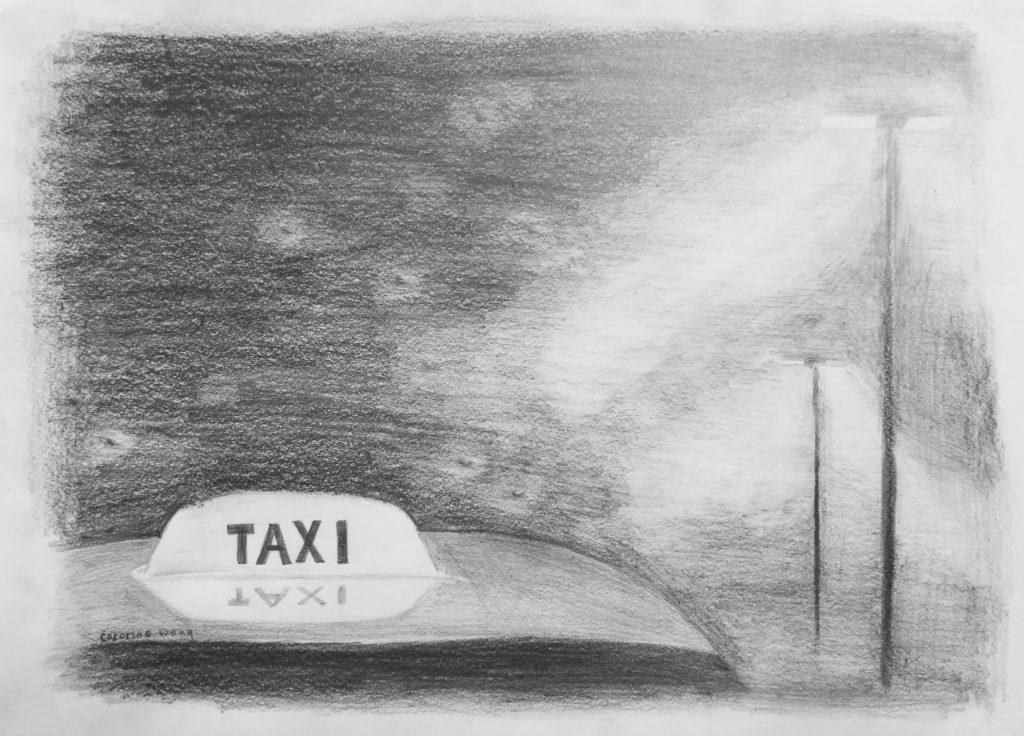 The top of a taxi is shown, with flies buzzing above it. Lit streetlights line the right side of the road.